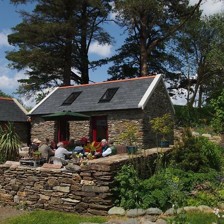 Ballycommane House & Garden Durrus Exterior foto