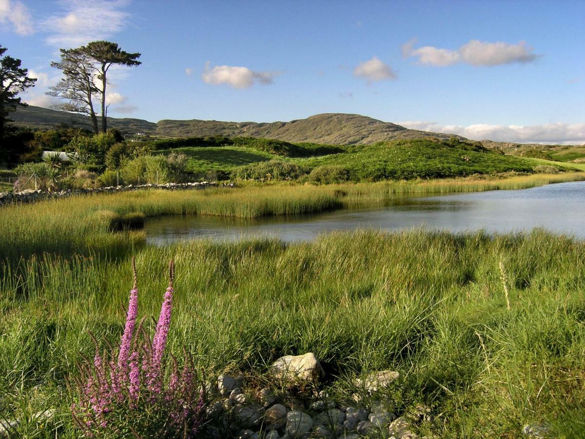 Ballycommane House & Garden Durrus Exterior foto