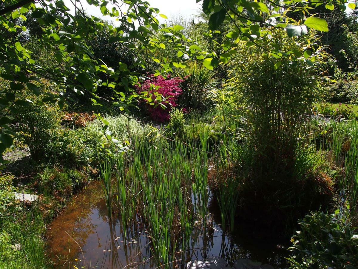 Ballycommane House & Garden Durrus Exterior foto